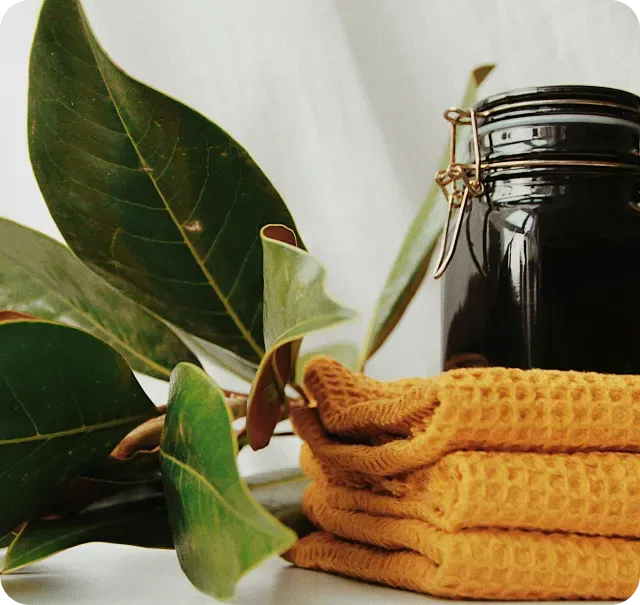 A Cleaner Home with Environmentally Friendly Cleaning Options