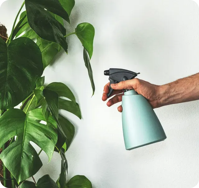 How Long Does Eco-Friendly Cleaning Take?