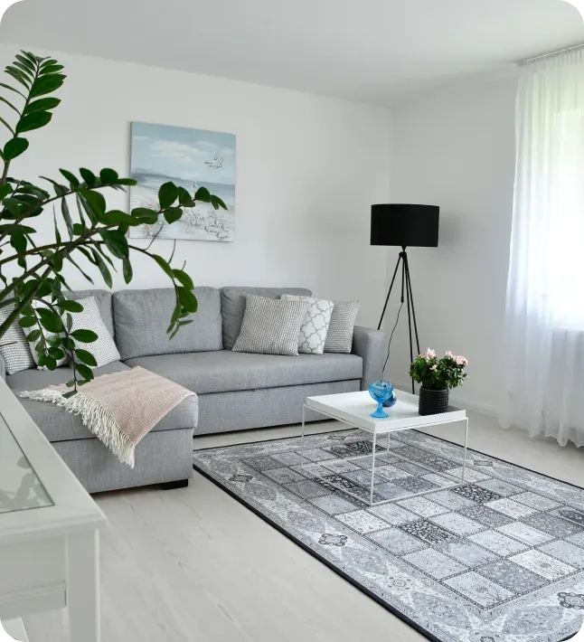 Professional Deep Cleaning Services