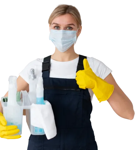 Professional Cleaner
